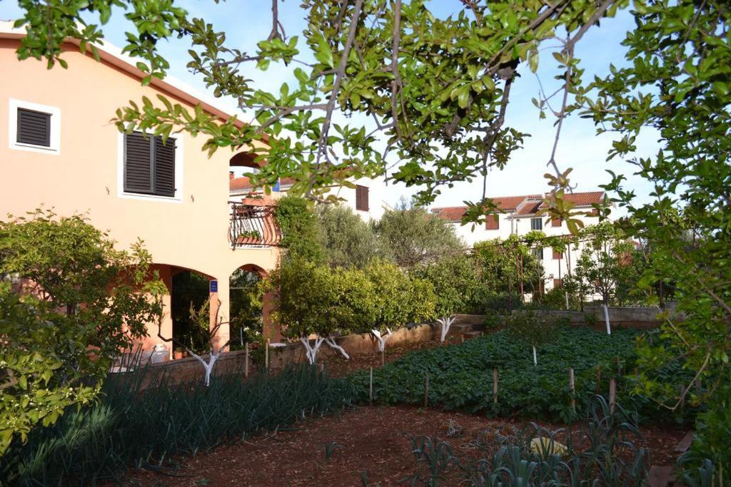 Apartments Ivanka Trogir Exterior foto